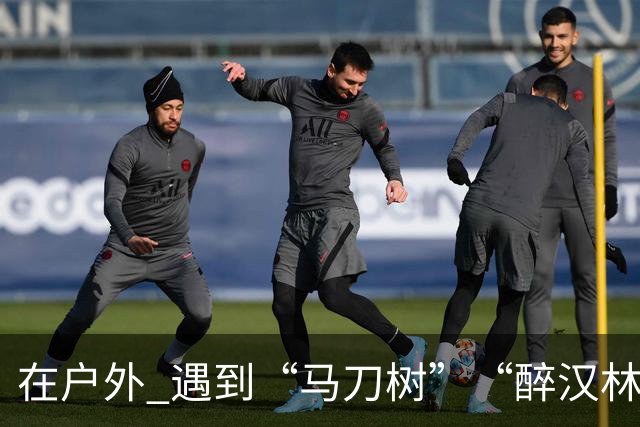 在户外 遇到“马刀树”“醉汉林”请立即撤离！